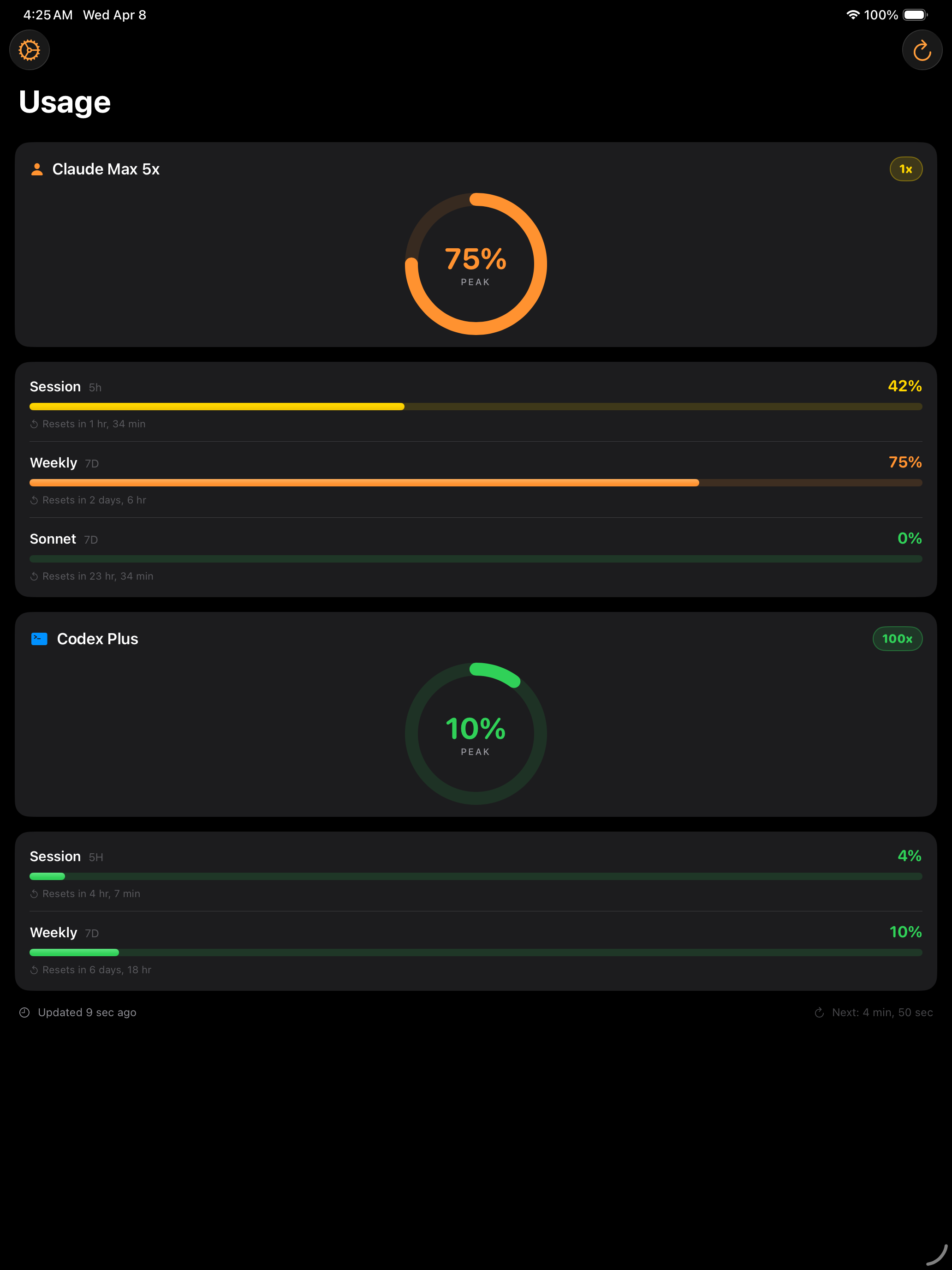 Model Usage iPad codex screenshot