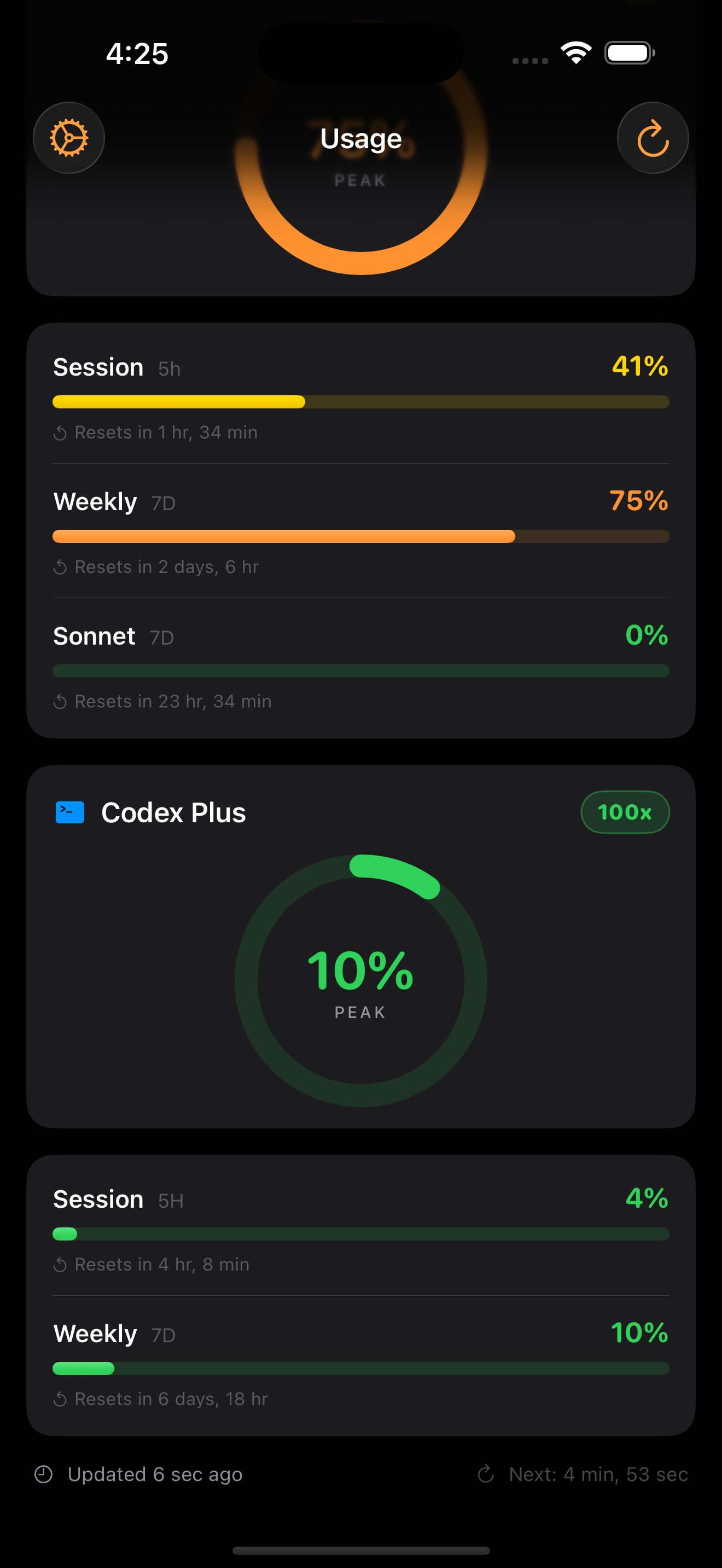 Model Usage iPhone codex screenshot